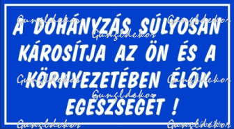 A dohányzás súlyosan károsítja az ön és a környezetében élők egészségét tábla matrica, kék színben