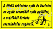 A főnök tekintete humoros vicces tábla matrica
