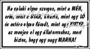Ha valaki olyan szorgos mint a méh humoros vicces tábla matrica