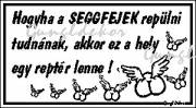 Hogyha a seggfejek repülni tudnának humoros vicces tábla matrica