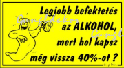 Legjobb befektetés az alkohol humoros vicces tábla matrica