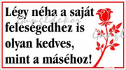 Légy néha a saját feleségedhez is olyan kedves, mint a máséhoz! Humoros tábla matrica