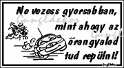 Ne vezess gyorsabban mint ahogy az őrangyalod tud repülni! humoros vicces tábla matrica