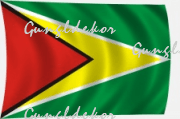 Guyana zászló