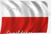 Lengyel zászló